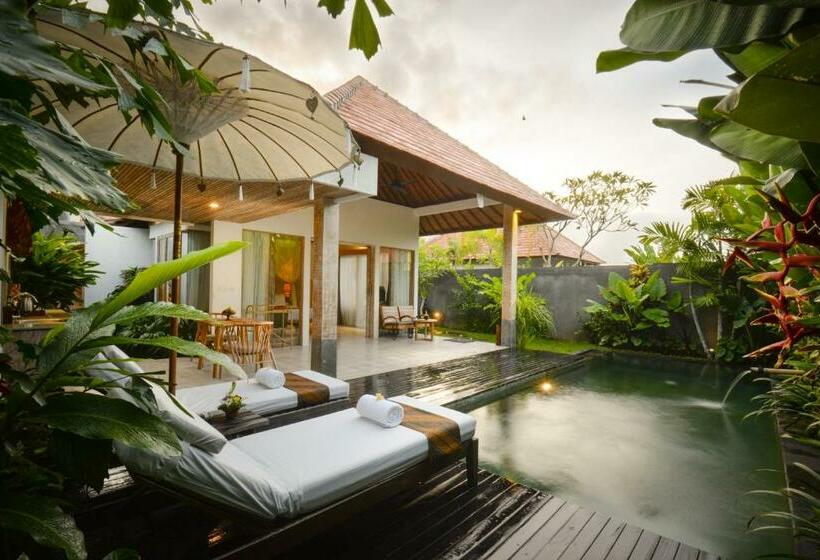Вилла с 1 спальней и бассейном, Purana Boutique Resort
