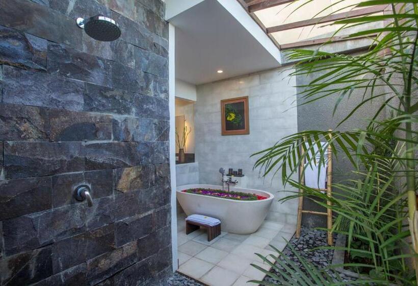 Вилла с 1 спальней и бассейном, Purana Boutique Resort