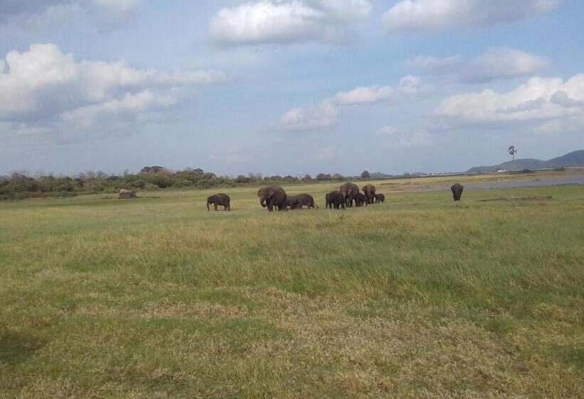 Номер Economy Индивидуальный, Elephant Safari Lodge Sigiriya Junction