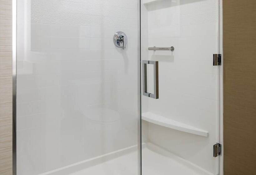 Люкс, Fairfield Inn & Suites By Marriott San Diego North/san Marcos
