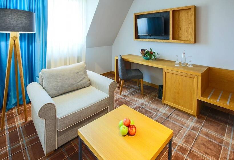 Номер Стандарт, Hvd Grand Hotel Suhl Business & Leisure