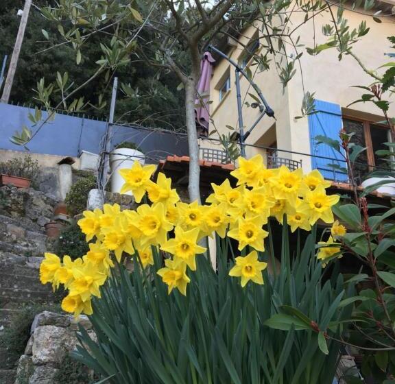 스탠다드 룸, Skylark Bed & Breakfast