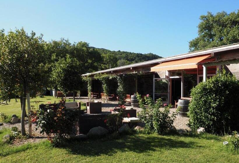 スイート, Valdonica Winery Fine Dine & Wine