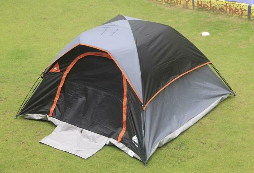 Standard Tent, Rocking J's