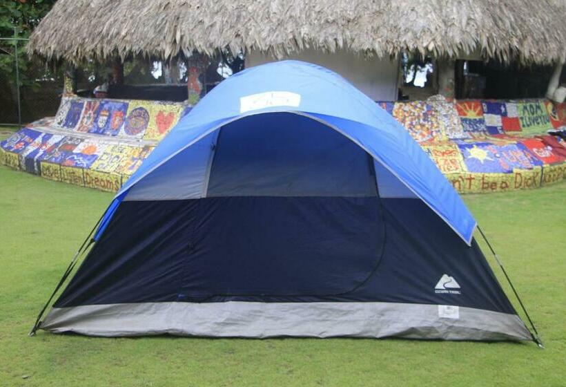Standard Tent, Rocking J's