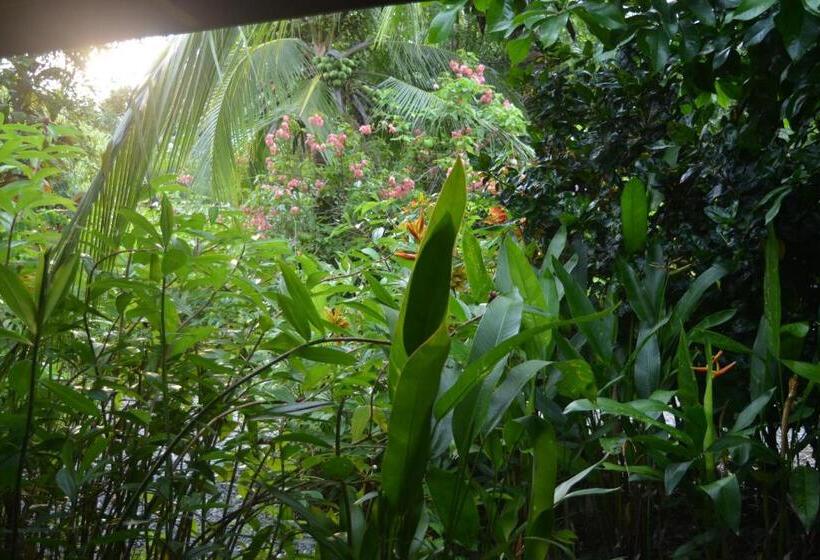 Дом 3 Спальни, Indigo Yoga Surf Resort