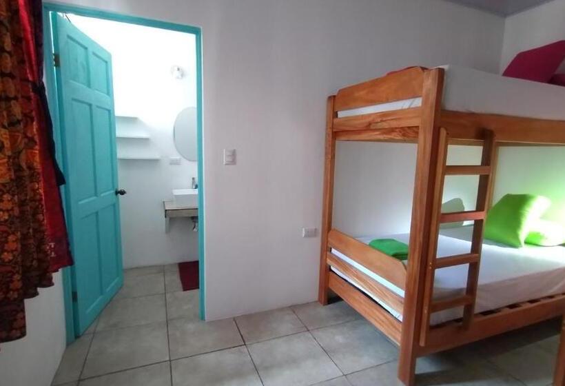 Quarto Quádruplo Standard, Casajungla Hostel