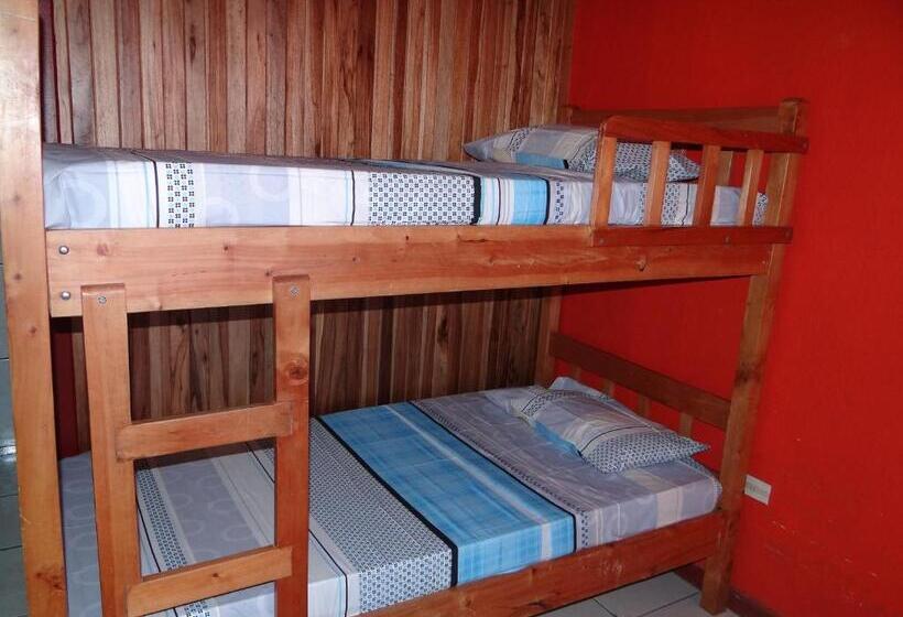 Кровать в Общей Комнате, & Hostel Sloth Backpackers