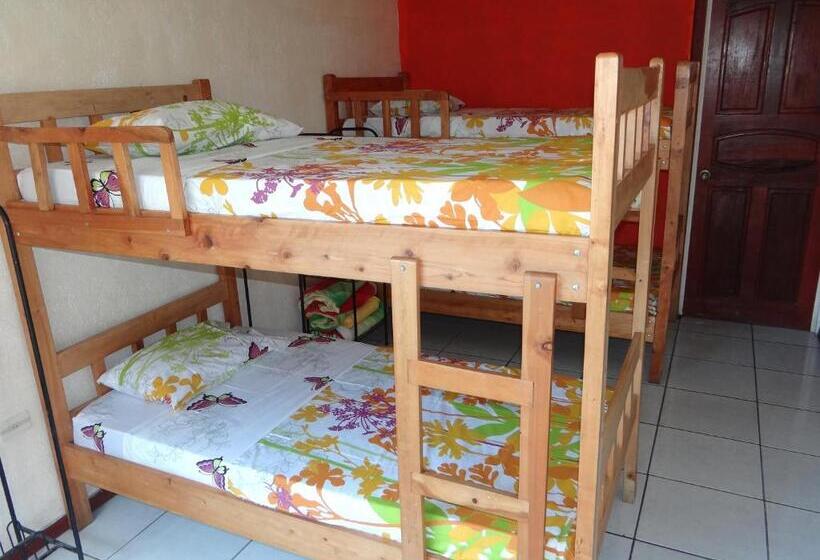 Семейный Номер, & Hostel Sloth Backpackers
