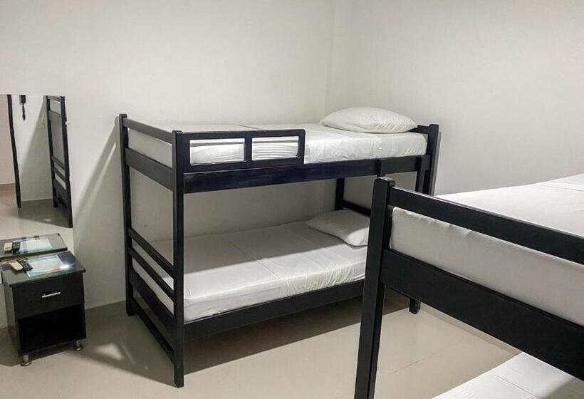 공동 객실, Hostal Viña Del Mar