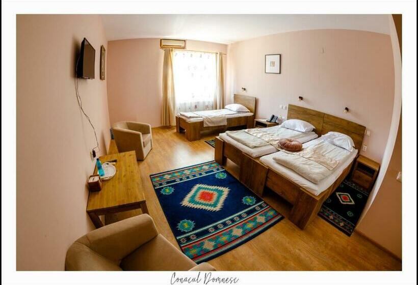 Номер Deluxe, Conacul Domnesc