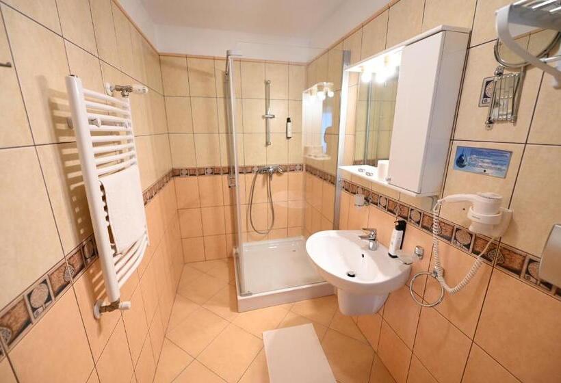 Номер Стандарт Трехместный, Conacul Domnesc
