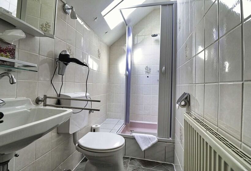 Номер Economy, Green Seeblick Hotel Am See