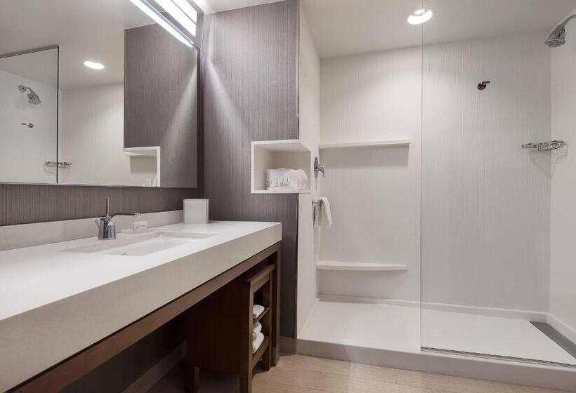 스탠다드 룸 킹사이즈 침대, Courtyard By Marriott Ardmore