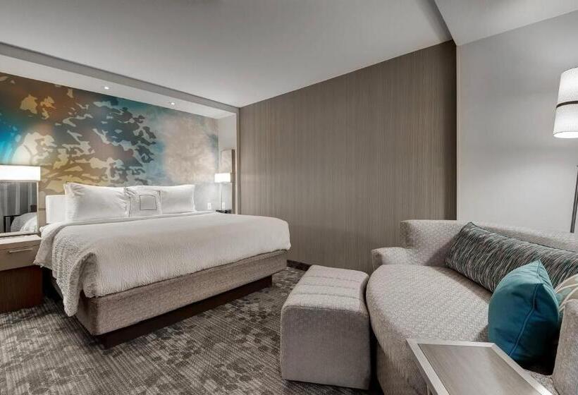 Номер Стандарт Кровать Кинг Адаптированный для Инвалидов, Courtyard By Marriott Ardmore