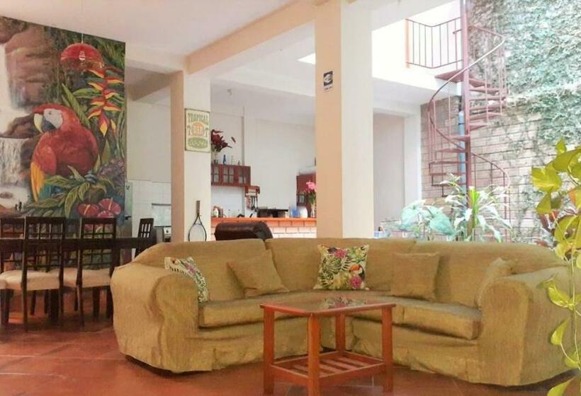 Номер Стандарт Индивидуальный, Monteverde Tarapoto Eco Friendly