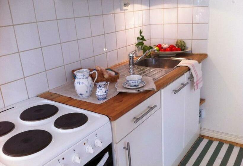 Апартаменты 1 Спальня Вид на Сад, Stockholm B&b Cottage