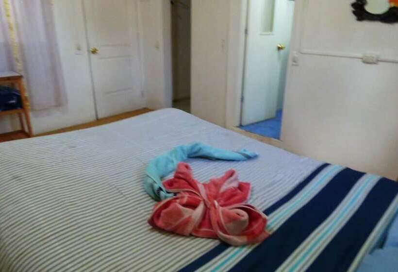 标准间, The Grasshopper Hostel