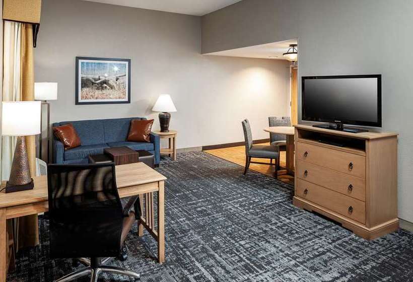 Студия Стандарт, Home2 Suites By Hilton  St. Simons Island
