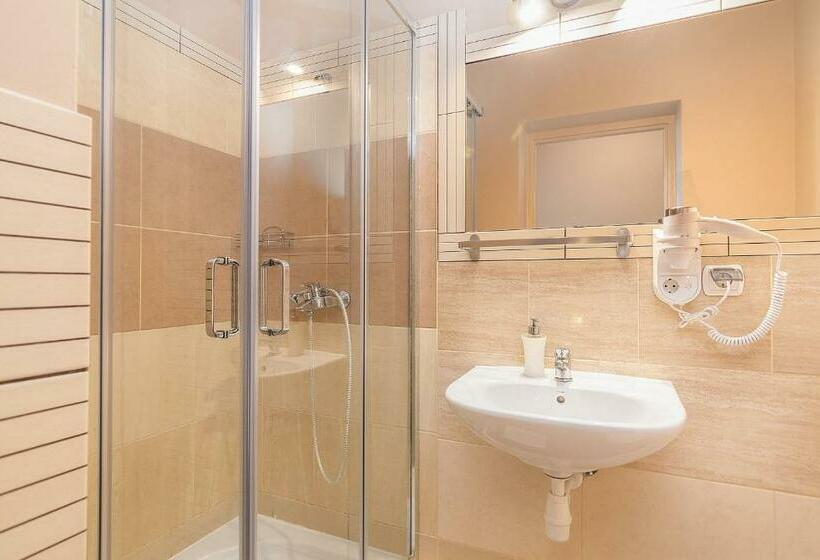 シングルベーシックルーム, Willa Kłodzko Zacisze   Sauna   Siłownia   Komnata Solna