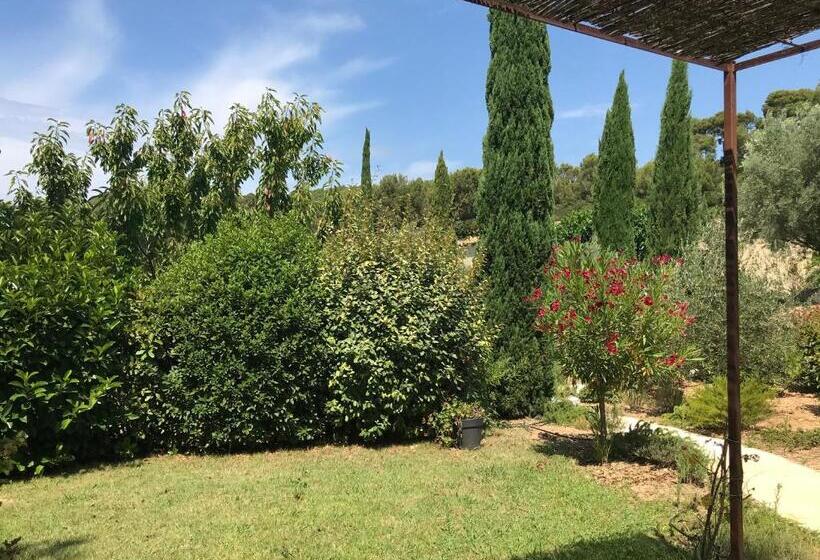 Номер Стандарт, Le Clos De La Chèvre Sud