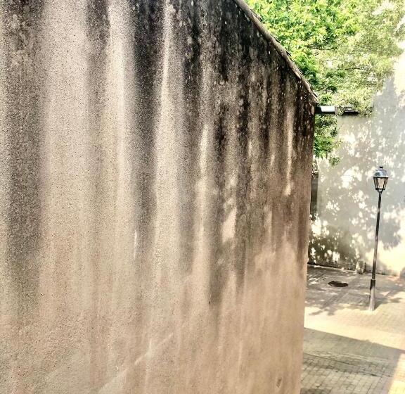 标准间, Les Florentines