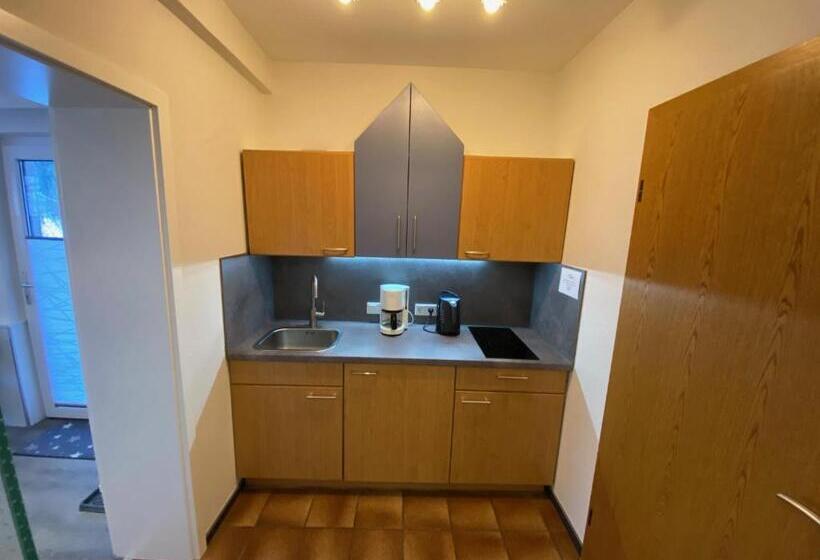 Апартаменты Комфорт 1 Спальня, Landhaus Florian