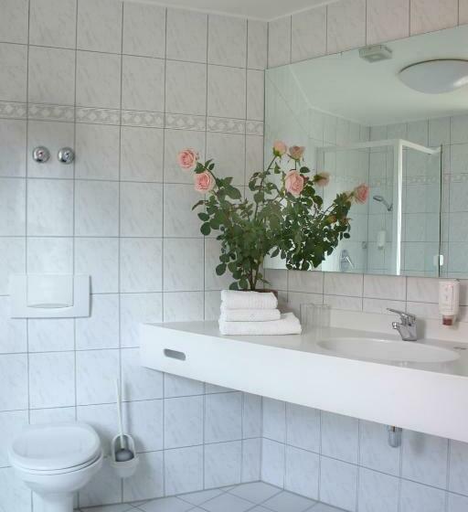 스탠다드 룸, Weinhotel Rose