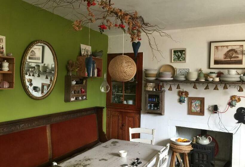 Номер Стандарт, Moon In The Apple Tree