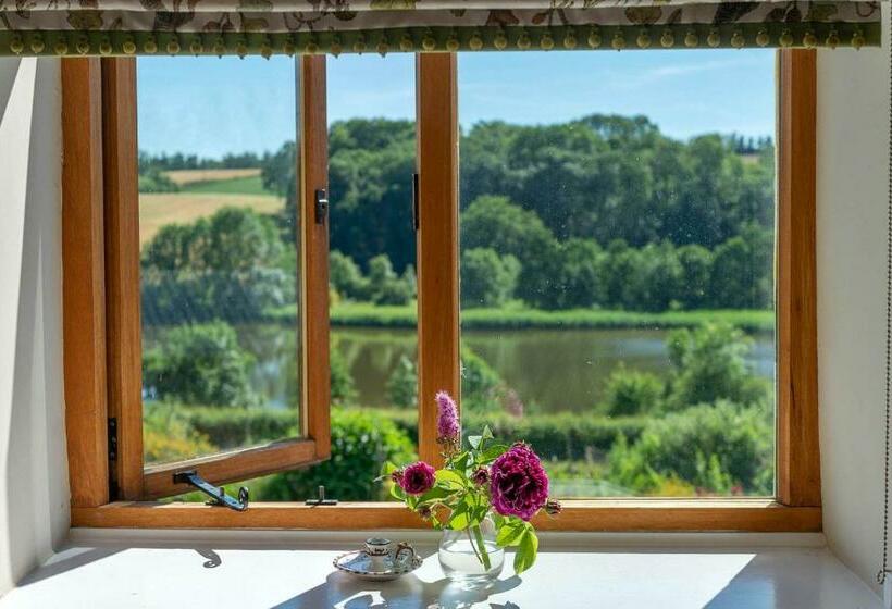 Номер Стандарт, The Dinney B&b