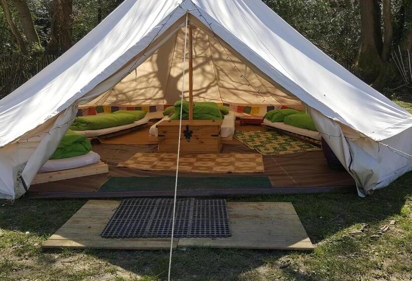Premium Tent, Yha South Downs