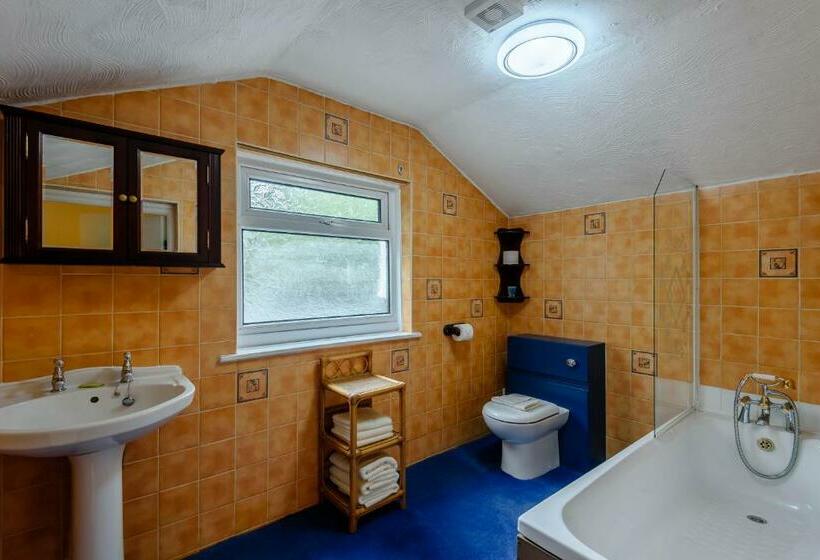 Семейный Номер, Pen Y Bont