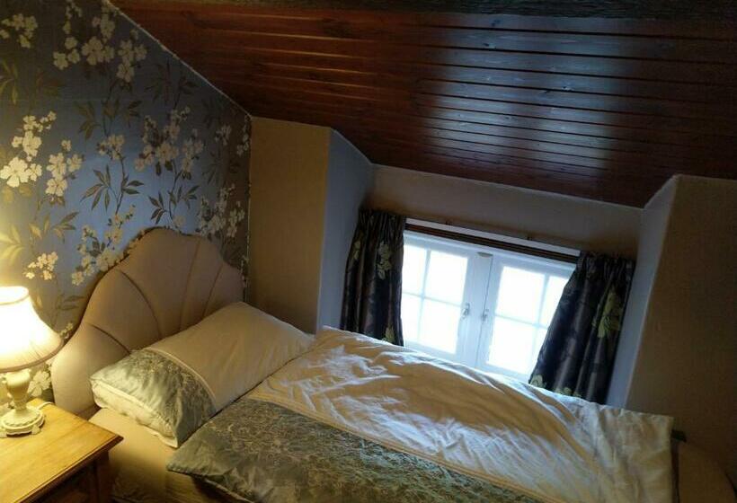 Номер Стандарт Индивидуальный, Lledr House Hostel Near Two Zip World Sites