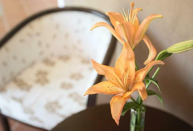 Трехместный Номер Superior, Nawan Resort Serrano
