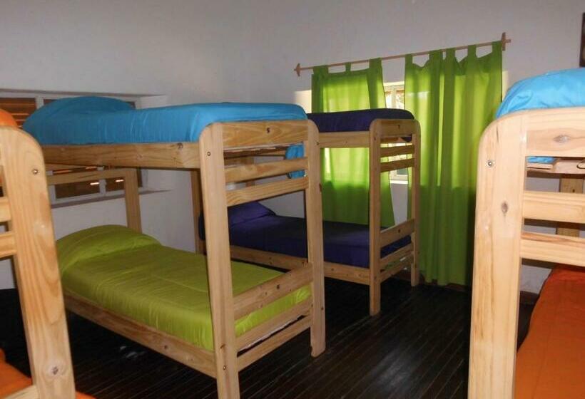 تختخواب در اتاق مشترک, Shanti Hostel