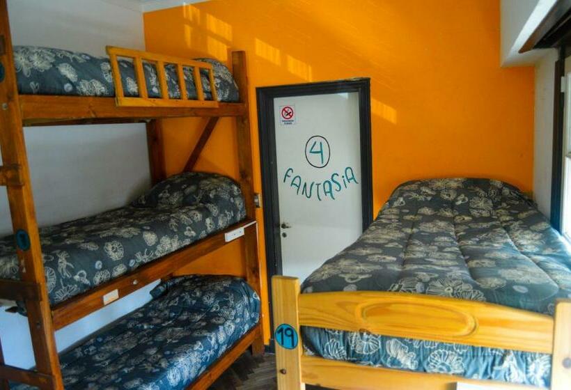 共用房间的床, Zeppelin Art Hostel