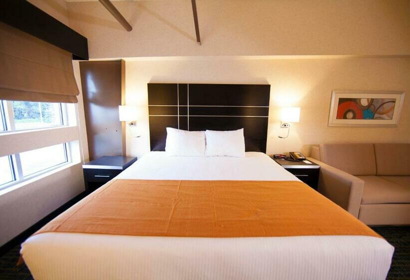 스탠다드 룸 킹사이즈 침대, Warehouse Hotel At The Nook