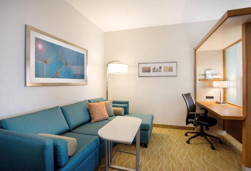 디럭스 룸, Springhill Suites By Marriott Mount Laurel