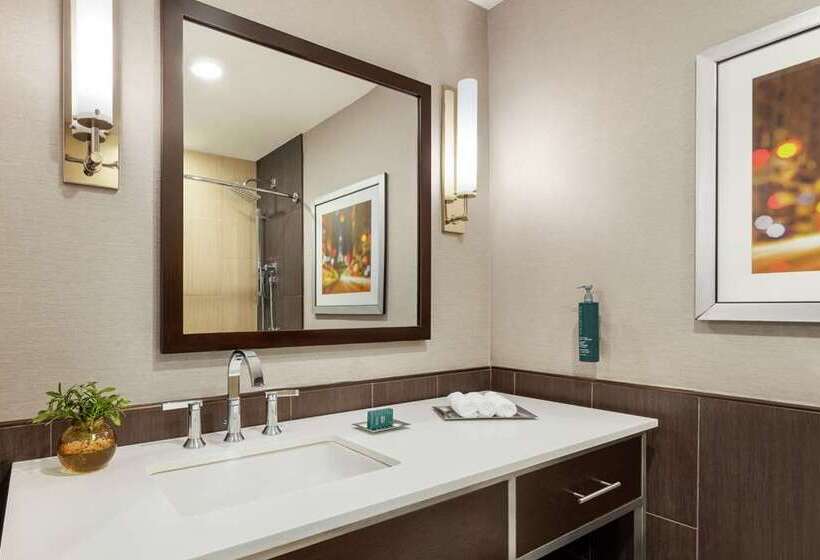 스탠다드 룸 킹사이즈 침대, The Statler Dallas, Curio Collection By Hilton