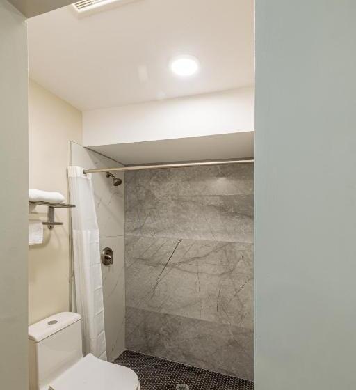 带大床的高级房间, Exclusivo Inn And Suites Near Arlington Stadium