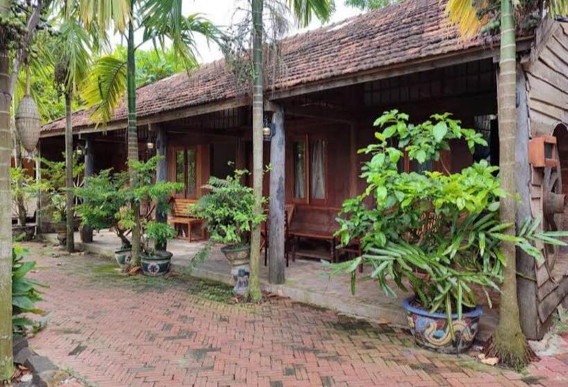 اتاق لوکس, Tina Lakeside   Ao đôi   Phước Hải