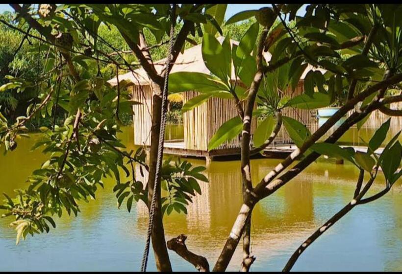 اتاق لوکس, Tina Lakeside   Ao đôi   Phước Hải