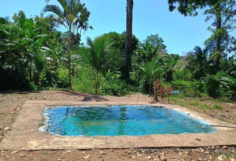 آپارتمان 1 خوابه, Casa Jungla Bahía Drake