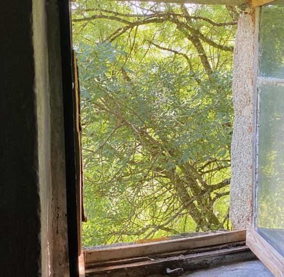 Номер Стандарт, La Maison Dans La Forêt