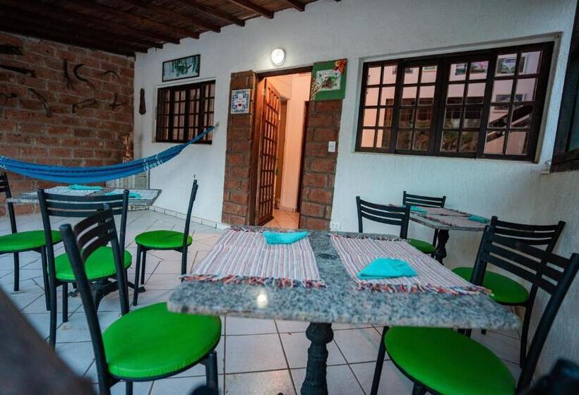 Family Suite, Alameda Galu