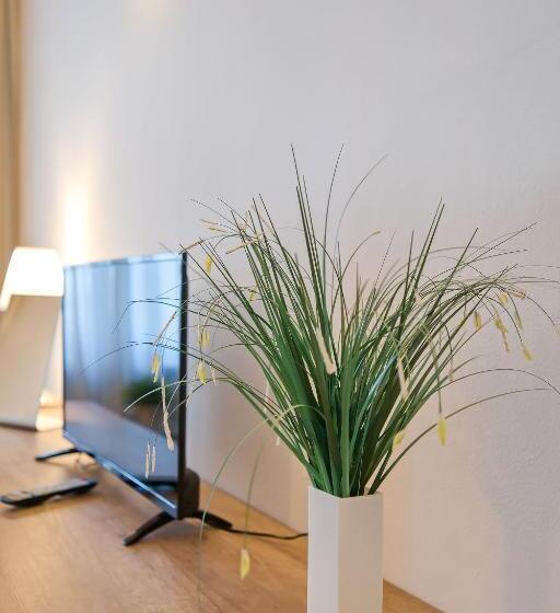 חדר סטנדרט חדר אמבטיה משותף, Stodolní Apartment