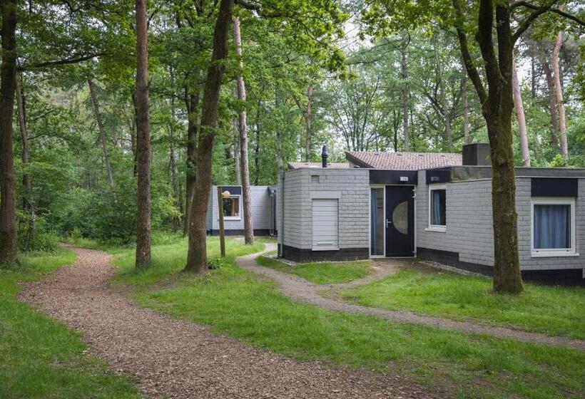 Бунгало Стандарт, Summio Parc De Berkenhorst