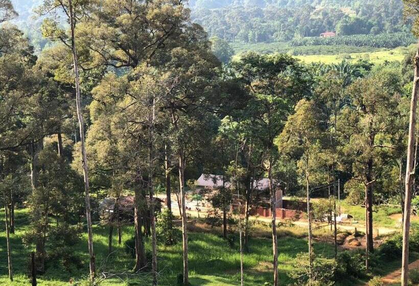 샬레, Mydusun Chalet, Taiping, Perak, Malaysia