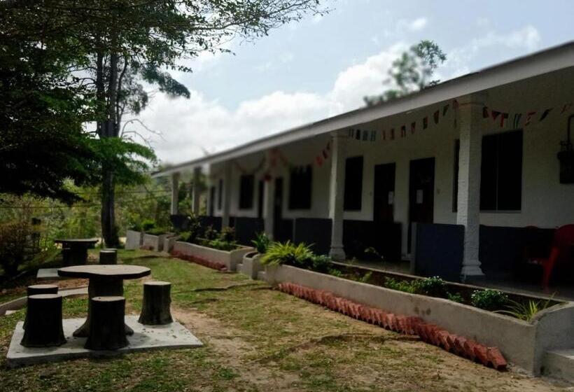 Номер Стандарт, Belebar Homestay Taman Negara Pahang Malaysia