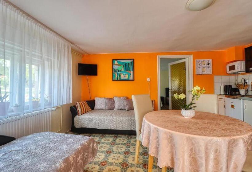 Апартаменты 1 Спальня Нижний Этаж, Vincze Villa Vendégház